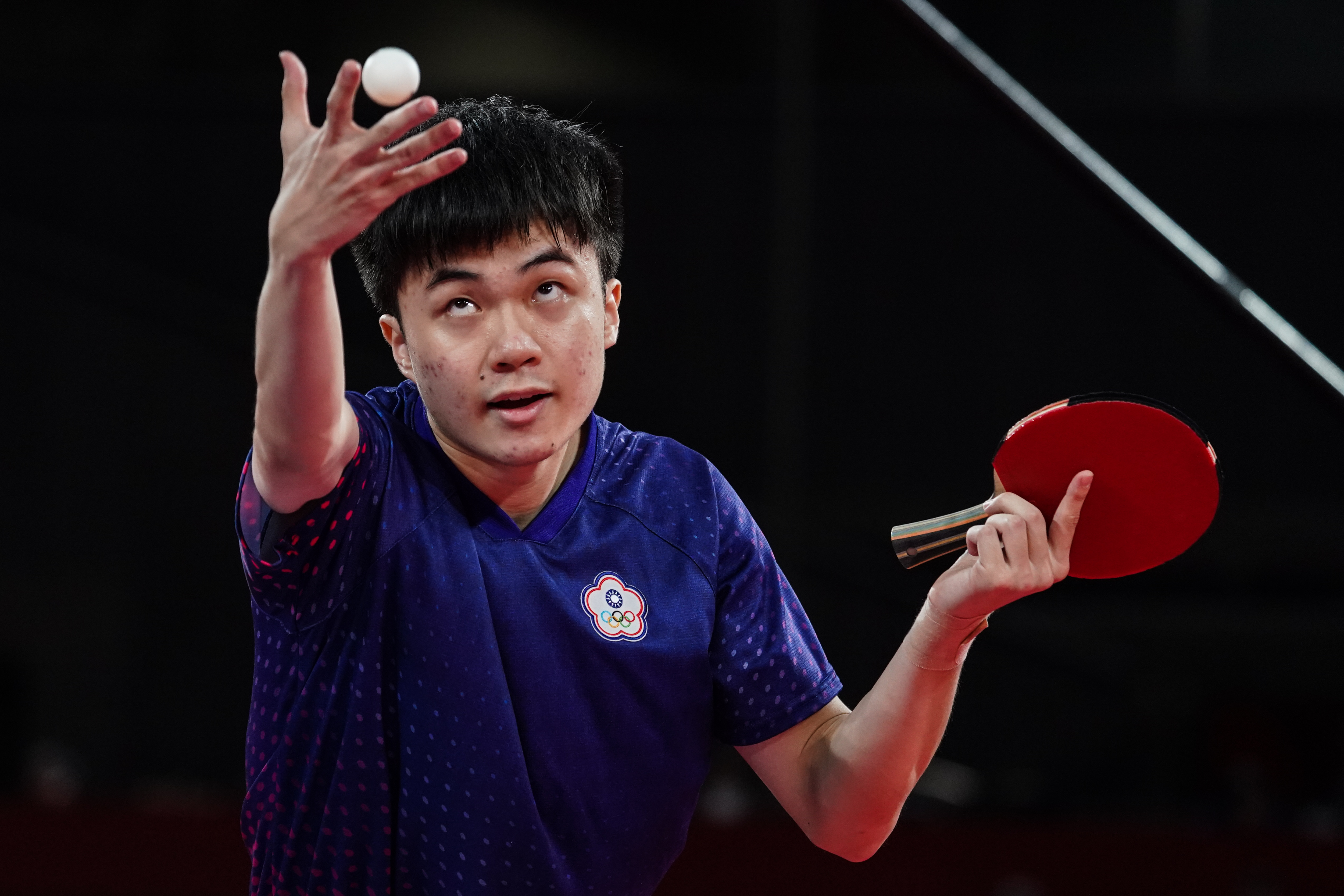 埃尔切找到 埃尔切找到